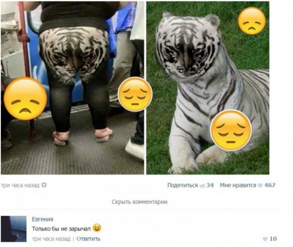 Ужасы и приколы из соцсетей 18+