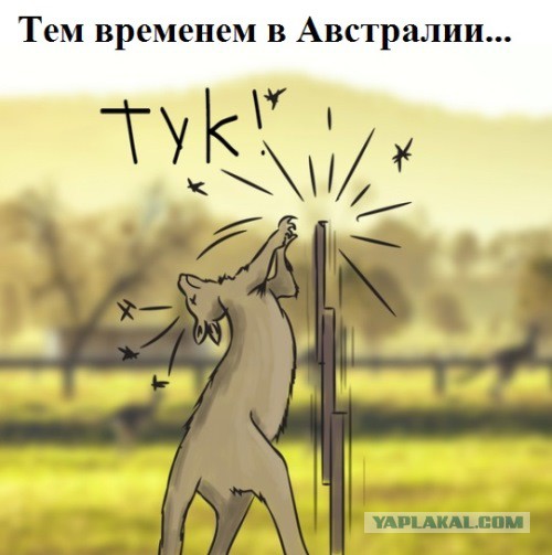 Корреспондент в Красноярске случайно нашел портал в АД