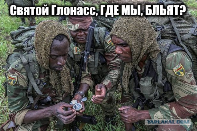Зимбабвийские разведчики объяснили неудачу в сибирском лесу на АрМИ