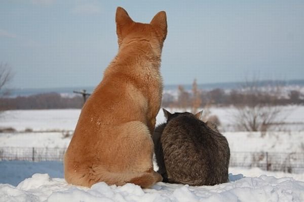 Что не так с этим миром?
