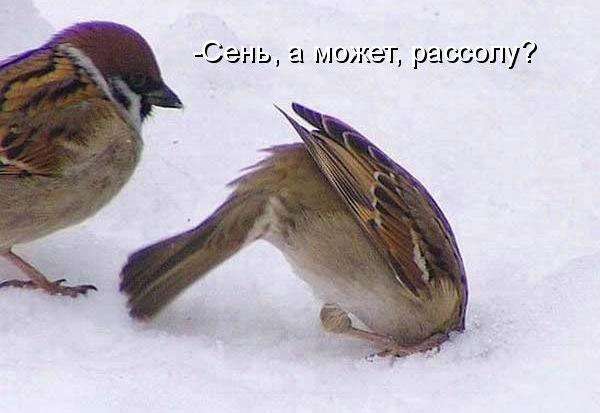 Кубы для хорошего настроения