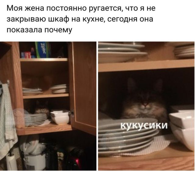 Подборка интересных и веселых картинок