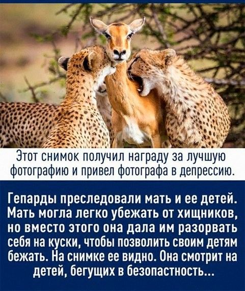 Праздник длиною в жизнь