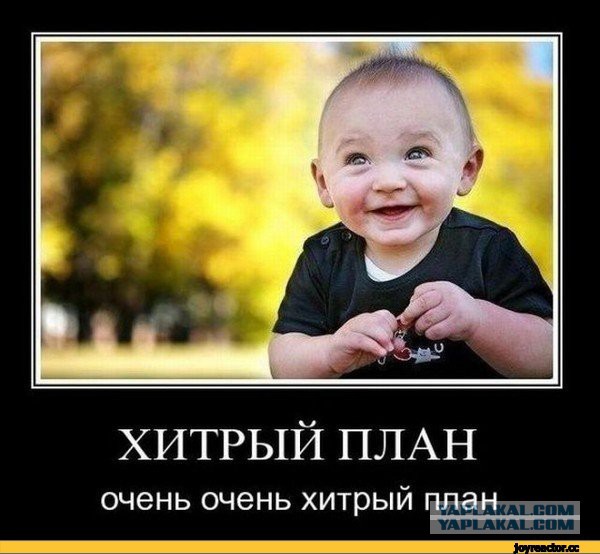 Беседка ФиС ЯПа 2