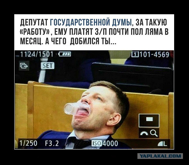 В России предложили обязательно проходить тест на совместимость перед свадьбой