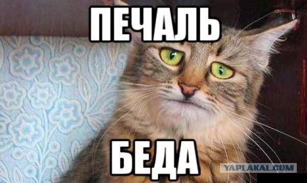 «Ракеты Patriot: сделаны в США, не работают нигде» —​ Америка шокирована правдой о позоре Пентагона
