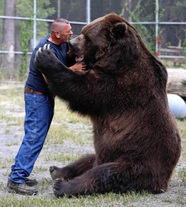 Частные камеры видеофиксации