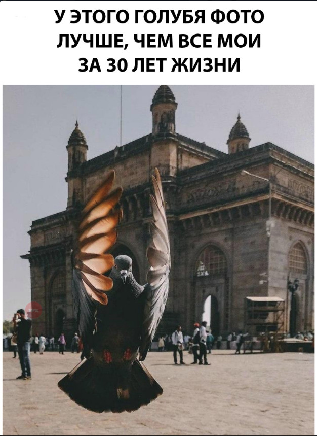 Нестандартный юмор