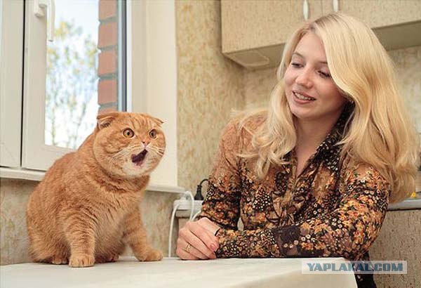 Ура, котовторник! (01.07.2008)