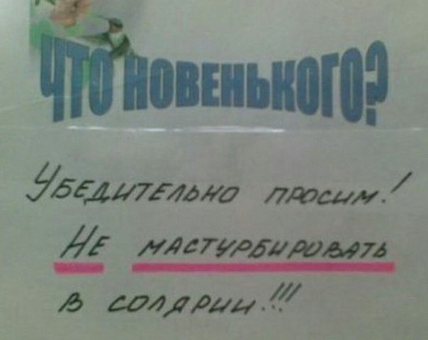 Гуляй, черноголовые