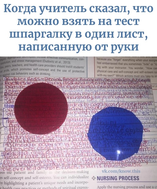 Бросай политоту, картинок завезли!
