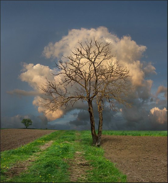 Фотографии, которые не каждый день увидишь