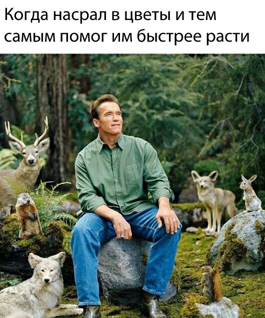 Нестандартный юмор