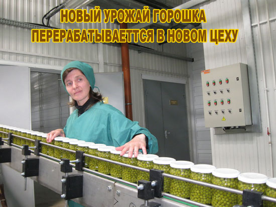 Высшая школа рекламы и дизигна