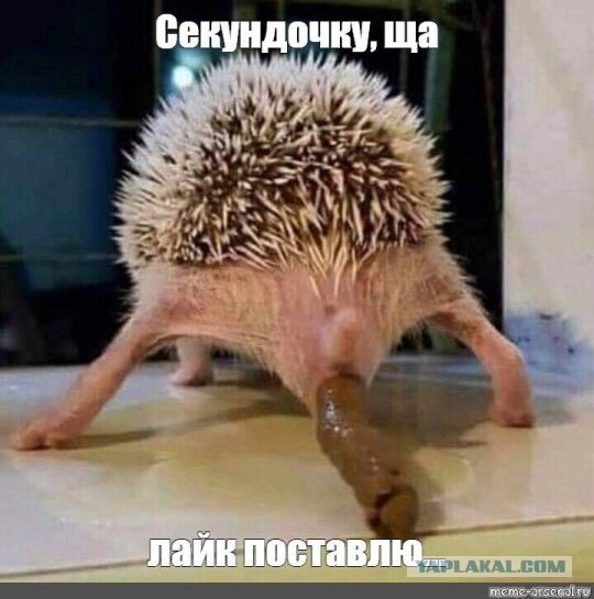 Музыкант Константин Кинчев о Путине