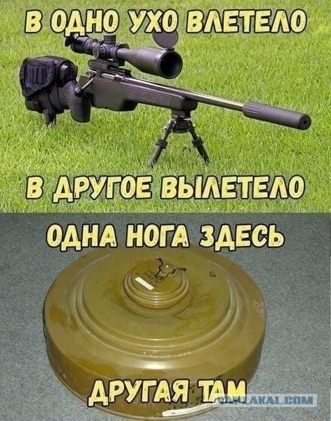 Бредзона 08.12.19