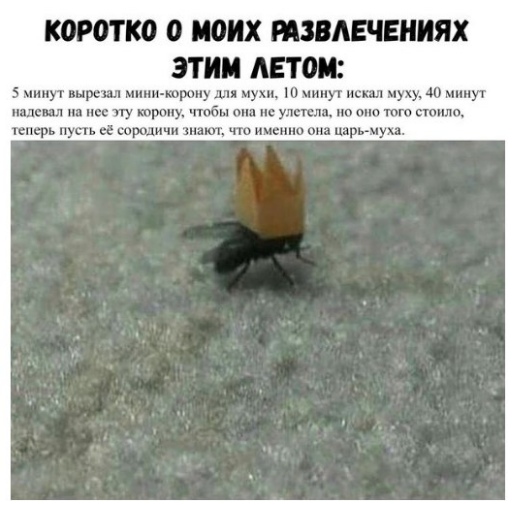 Чуток картинок! 26.12.19