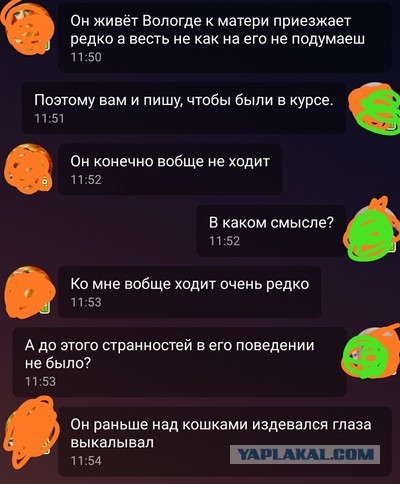 У моего друга есть маленькая дочь. И вот что ему пишет некий гражданин из Вологды