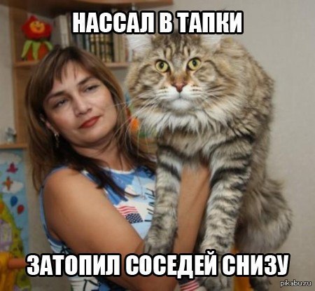 Зачем сантехнику дают трусы или как вывести сантехника из себя