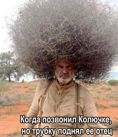 Бредзона 18.02.2020