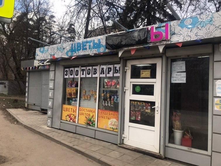 Магазины В Пушкино Московской Области
