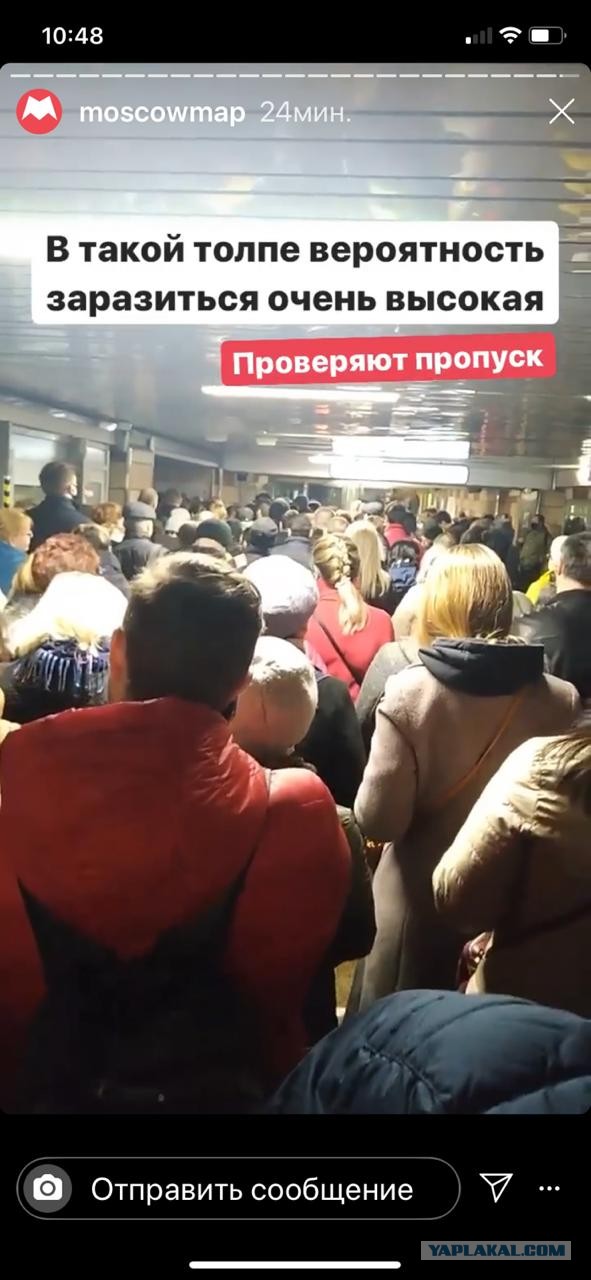 Открытое письмо президенту против внедрения цифровых пропусков