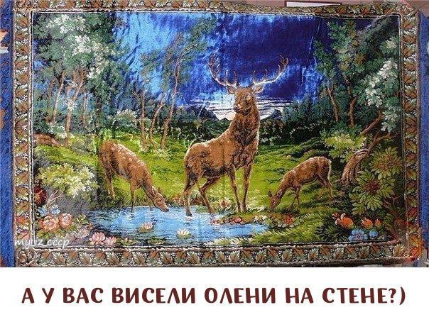 Немного картинок для настроения 17.05.20