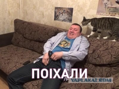 Не волочковы 2 (но одна Анастасия будет)