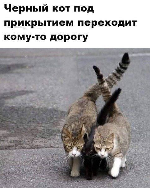 Бредзона 23.08.20