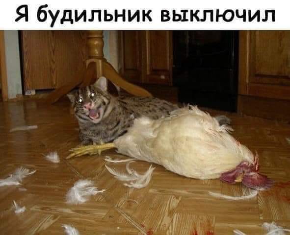 Бредзона 19.12.20