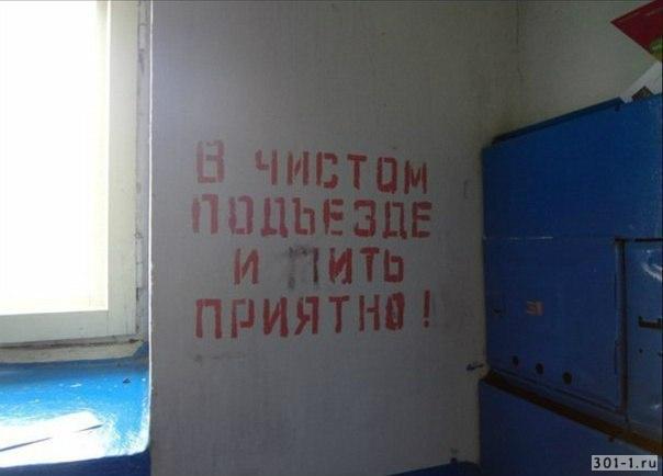 Временные соседи - новогодние свиньи