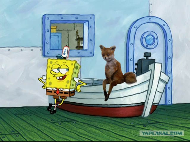 Таксидермия + наркомания