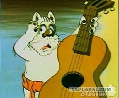 Кот срывает прямой эфир