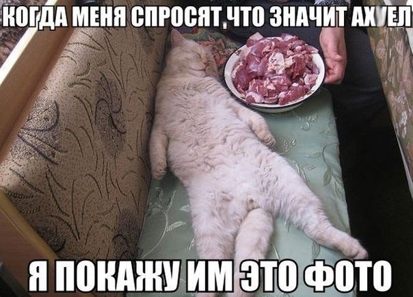Так себе картинки 27.05.21