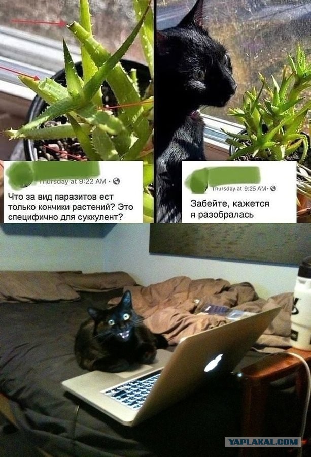 Тут что-то не так