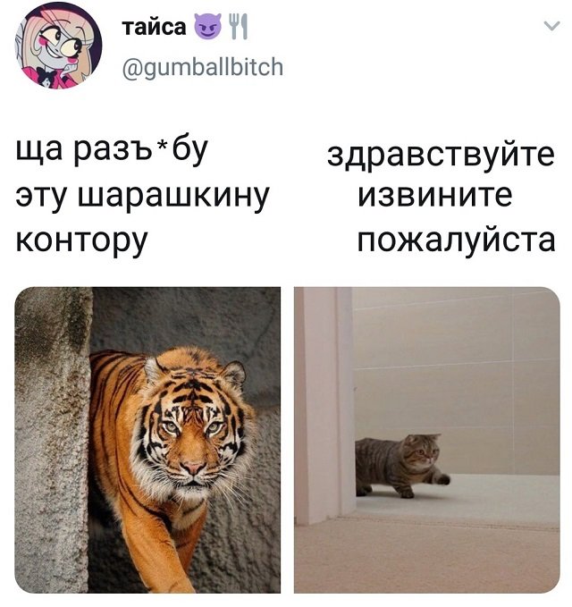 Картинки и мемы для настроения 23.06.2021