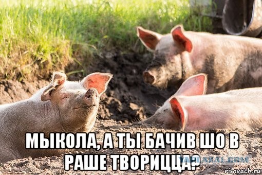 Зачем проводят массовое шприцевание людей?