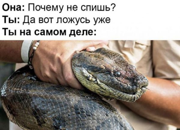 Пятница. И немного слегка пошлых картинок с надписями и без 16+ (06.08))