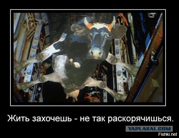 Бунд, или защитим НАШ ЯП!!!