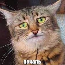 Мэра Купянска обвиняет СБУ в похищении его дочери