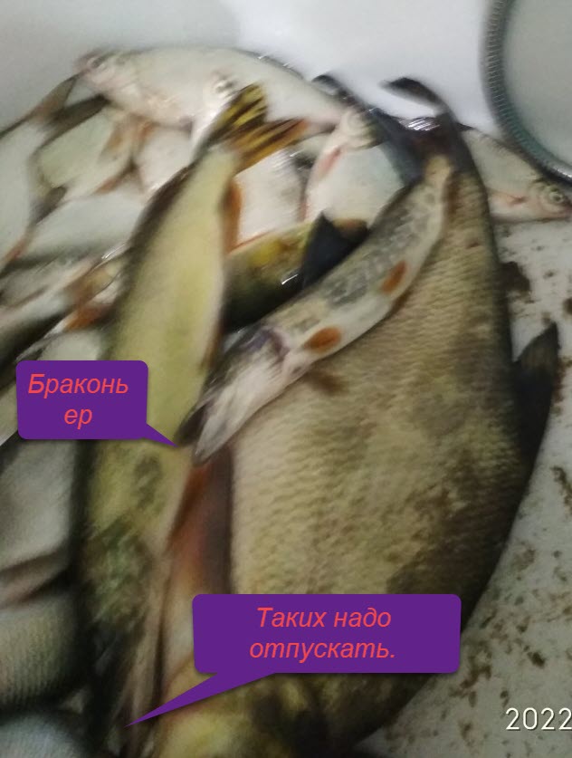 Сегодня с батей пошли на рыбалку...