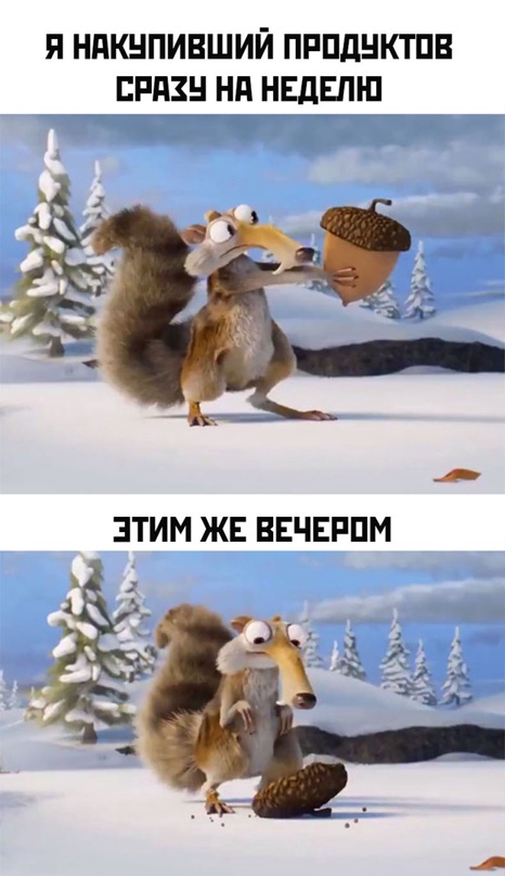 Весёлый полтишок 26.04.22