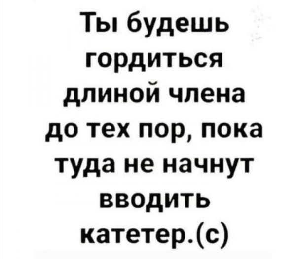16712743.jpg