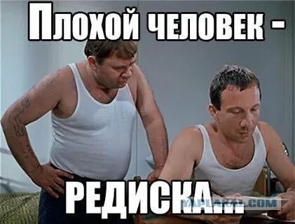 А какая у вас редиска удалась?
