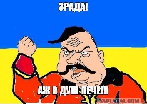 Заблудилась