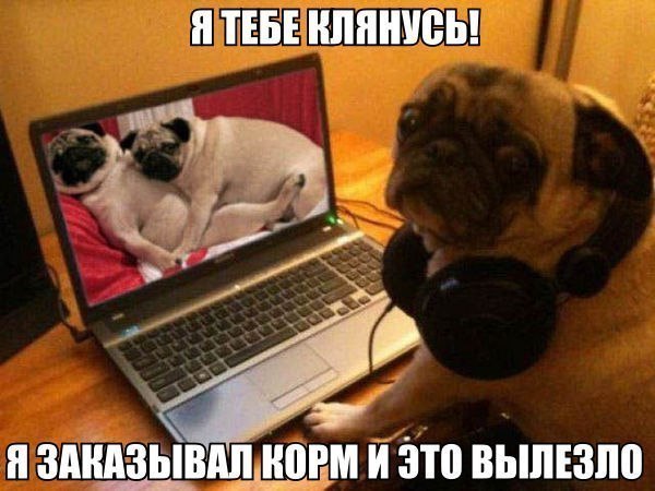Немного картинок для настроения - 123