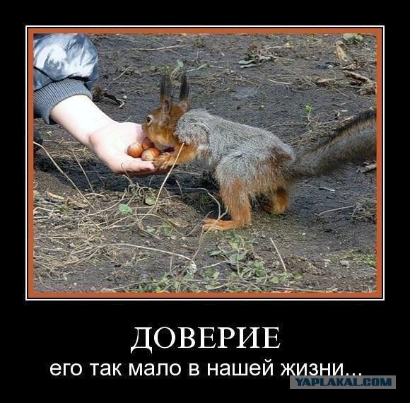Картинки с надписями 04.12.22