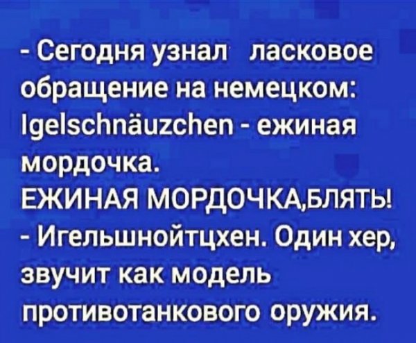 Прикольные и просто красивые картинки 10.01.2023