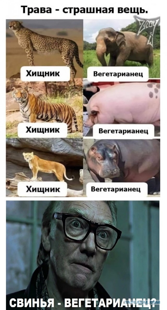 Картинки и мемы, всем хороших выходных