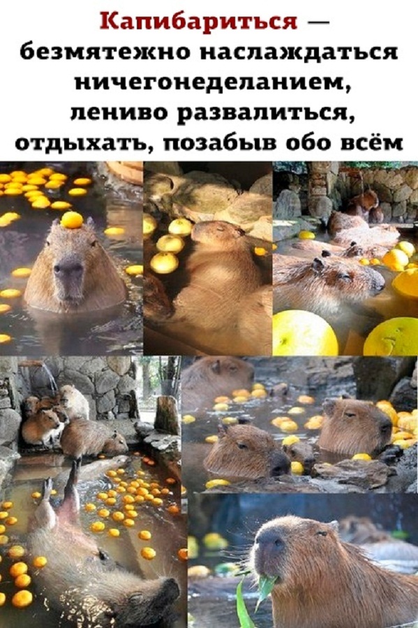 Немного картинок для настроения - 161